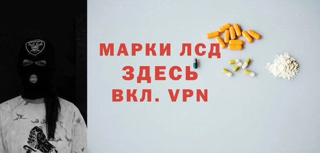 a pvp Аркадак