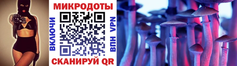 Галлюциногенные грибы Psilocybe Сибай